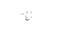 Famous Steam